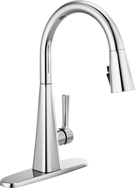 Lenta™ Single-Handle Pull-Down Kitchen Faucet In Chrome MODEL#: 19802Z ...