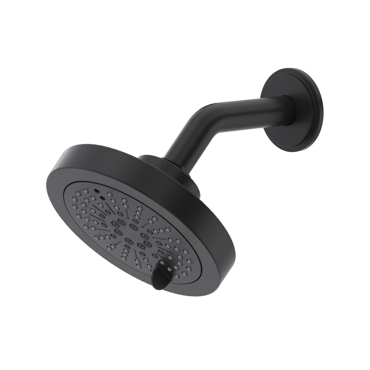 5'' 6-Function Showerhead With Arm-related