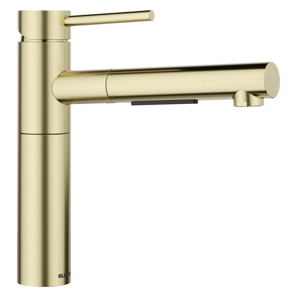 Alta II Low Arc Pull-Out Dual-Spray Kitchen Faucet - Satin Gold-related
