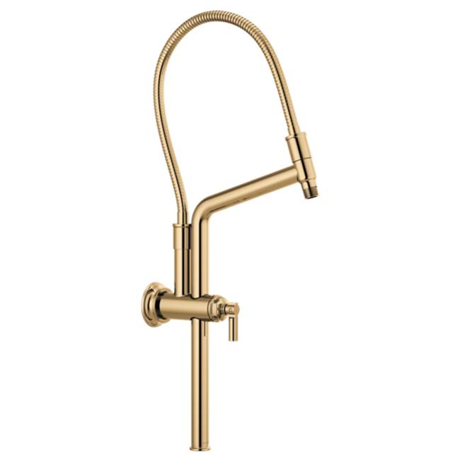 Height Adjustable Shower Arm And Flange-related