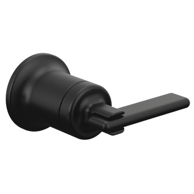 Allaria™ Two-Hole, Single-Handle Wall Mount Lavatory Faucet Lever Handle Kit-related