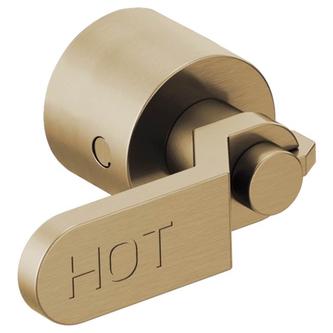 Two-Handle Wall Mount Tub Filler Handle Kit - Industrial Lev-related