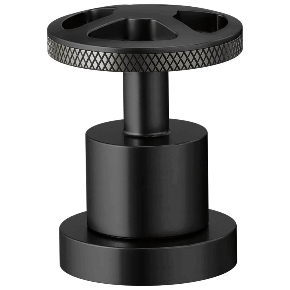 Litze® Roman Tub Handle Kit - Wheel-shop