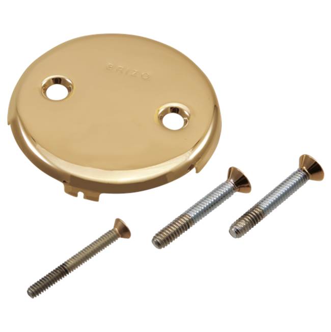 Toe-Operated Plate With Screws-related