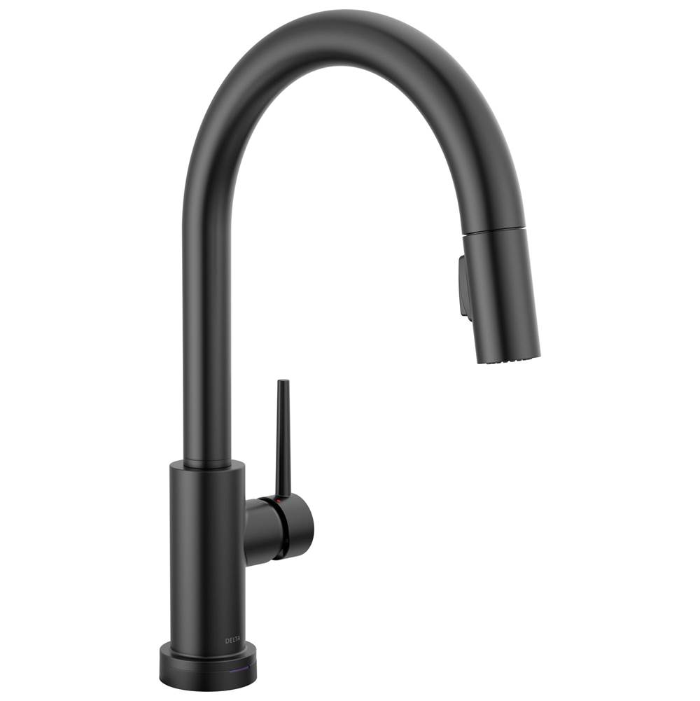 Trinsic? VoiceIQ? Kitchen Faucet with Touch2O? with Touchless Technology-related