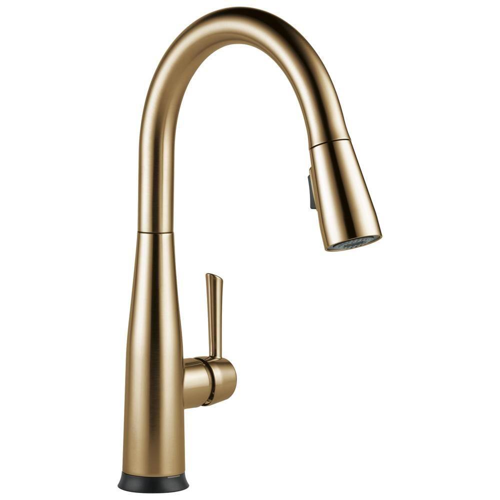 Essa? VoiceIQ? Single Handle Pull-Down Faucet with Touch2O? Technology-related