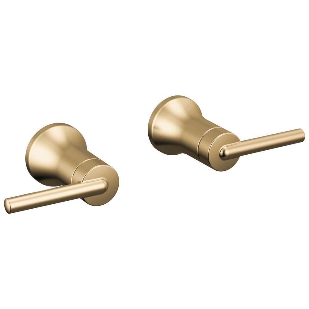 Trinsic? Lever Handle -Wall Mount Lav-related