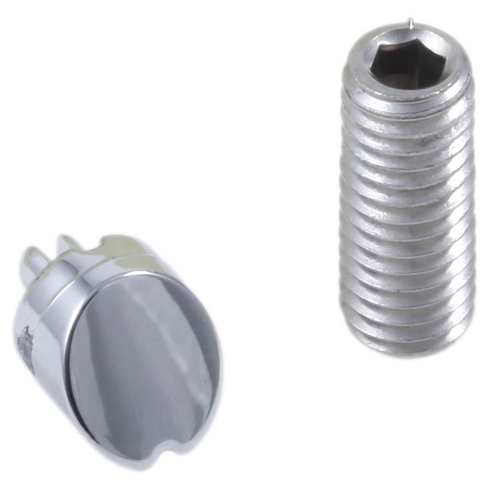 Cassidy? Set Screw & Button - Diverter-related