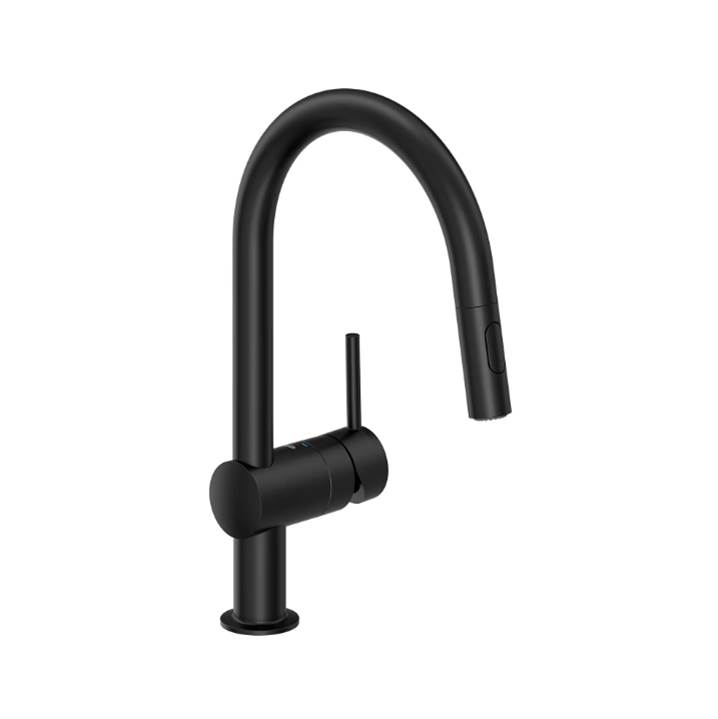 Single Handle Pull-Down Kitchen Faucet with Dual Spray 1.75 gpm-shop