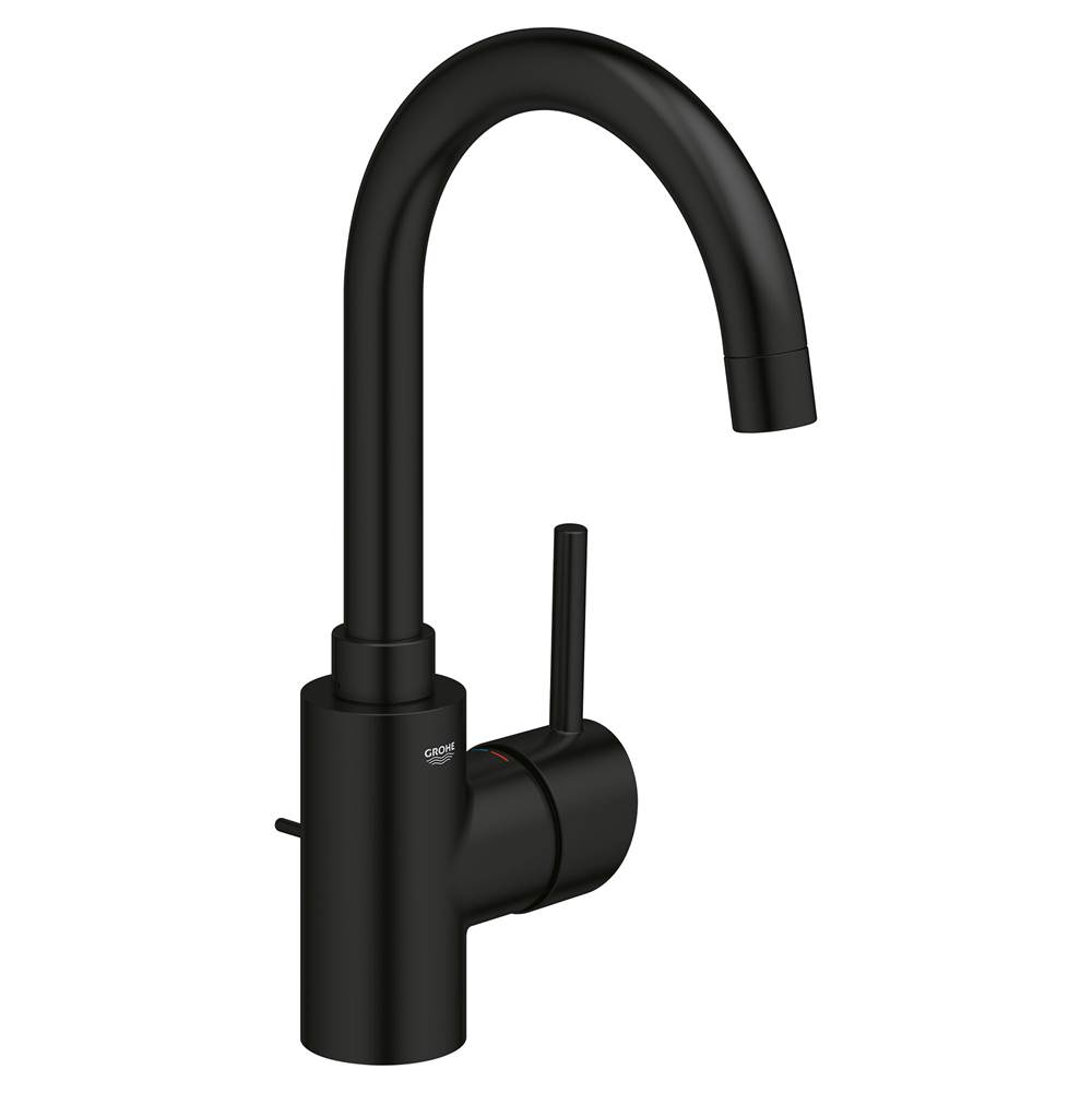Single Hole Single-Handle L-Size Bathroom Faucet 4.5 L/min (1.2 gpm)-shop