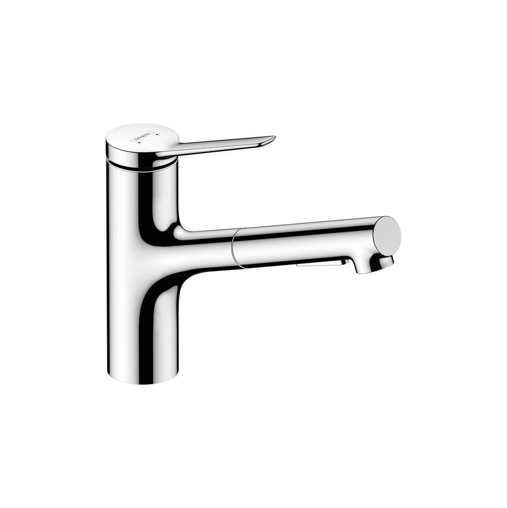 Kitchen Faucet 2-Spray, Pull-Out, 1.75 Gpm-shop