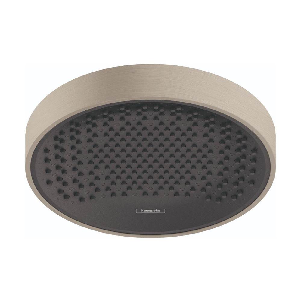 Showerhead 250 1-Jet, 2.5 Gpm-shop