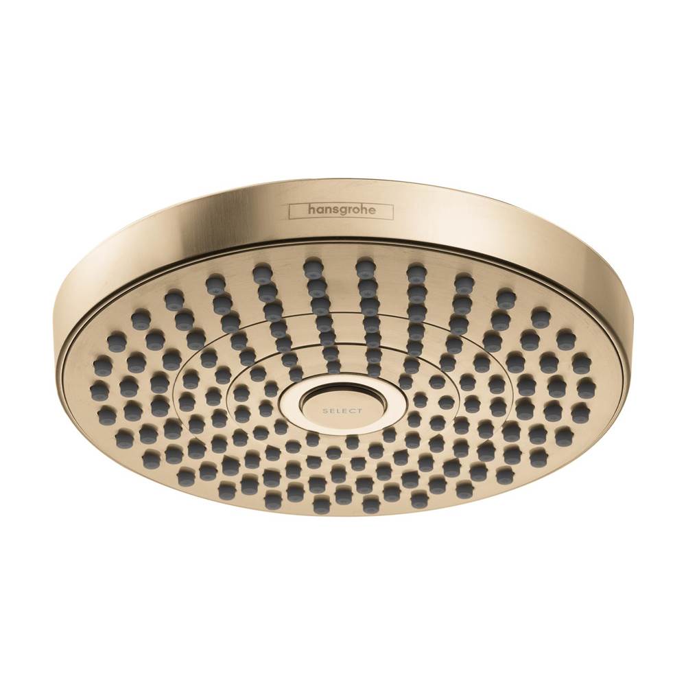 Showerhead 180 2-Jet, 2.5 Gpm-shop