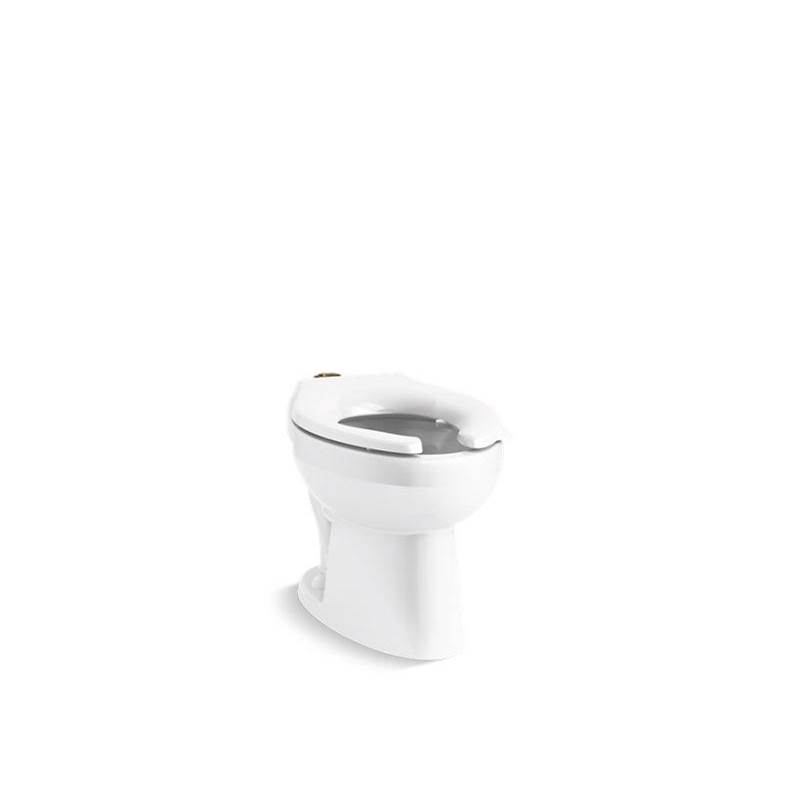Wellcomme™ Ultra Floor-mount top spud flushometer bowl with bedpan lugs-shop