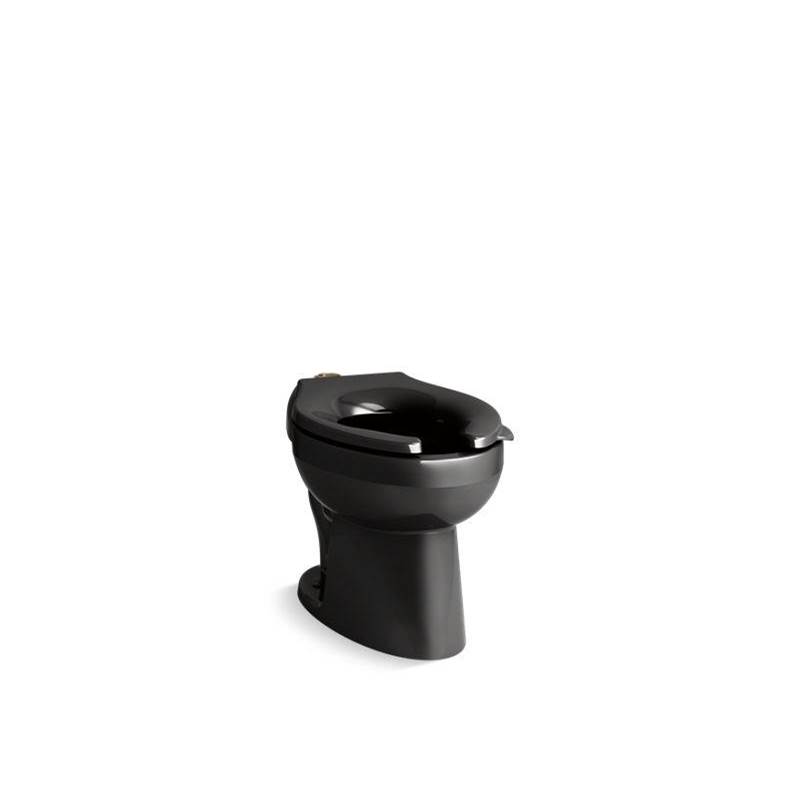 Wellcomme™ Ultra Floor-mount top spud flushometer bowl with bedpan lugs-shop