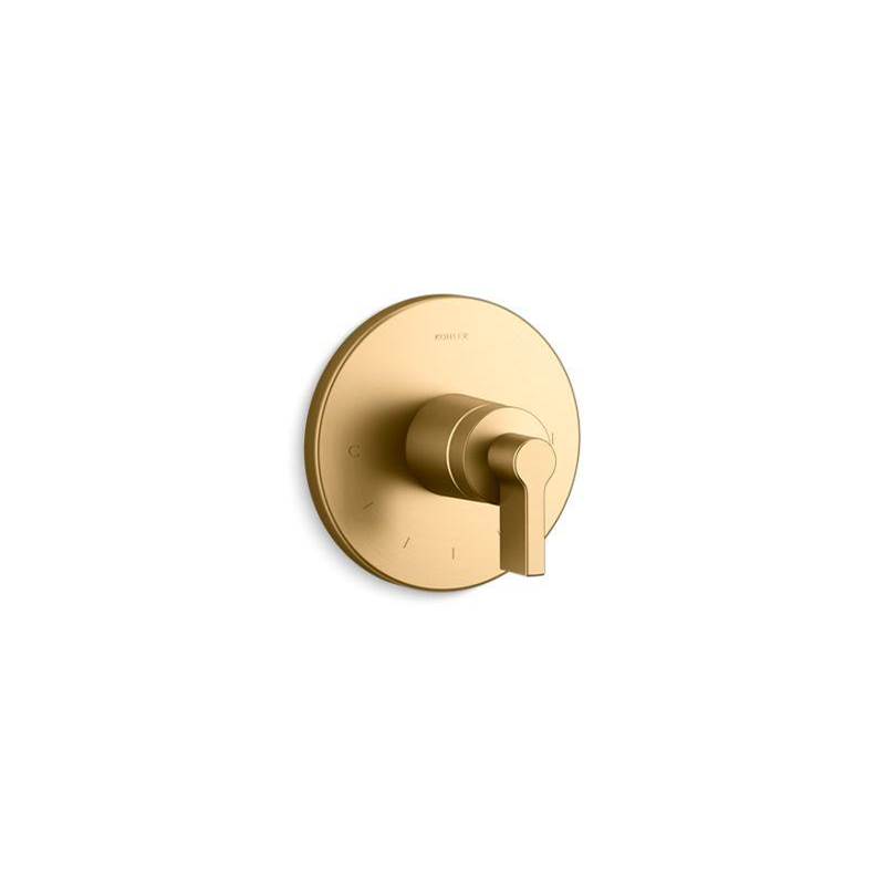 Components® Thermostatic valve trim with lever handle-shop