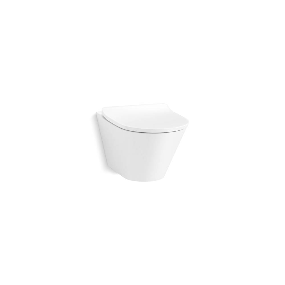 Brazn Wall-Hung Round-Front Toilet Dual-Flush-related