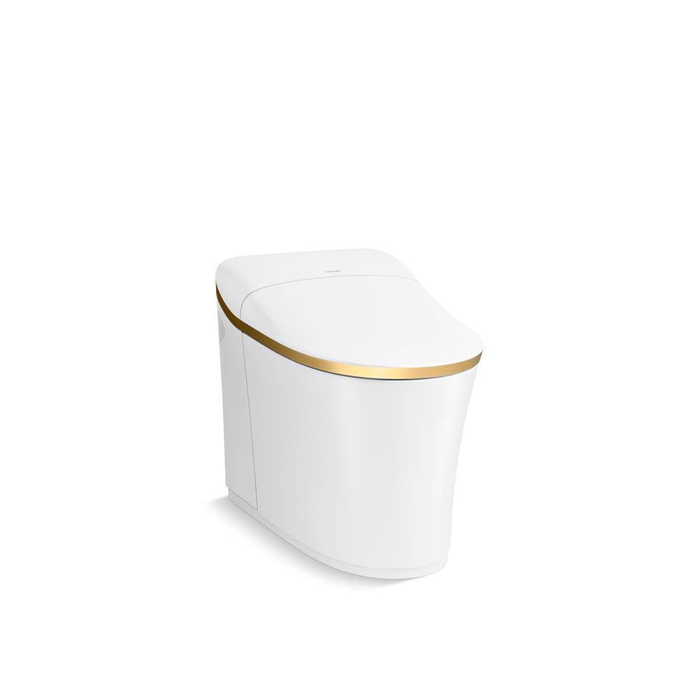Eir One-Piece Elongated Smart Toilet Dual-Flush-shop