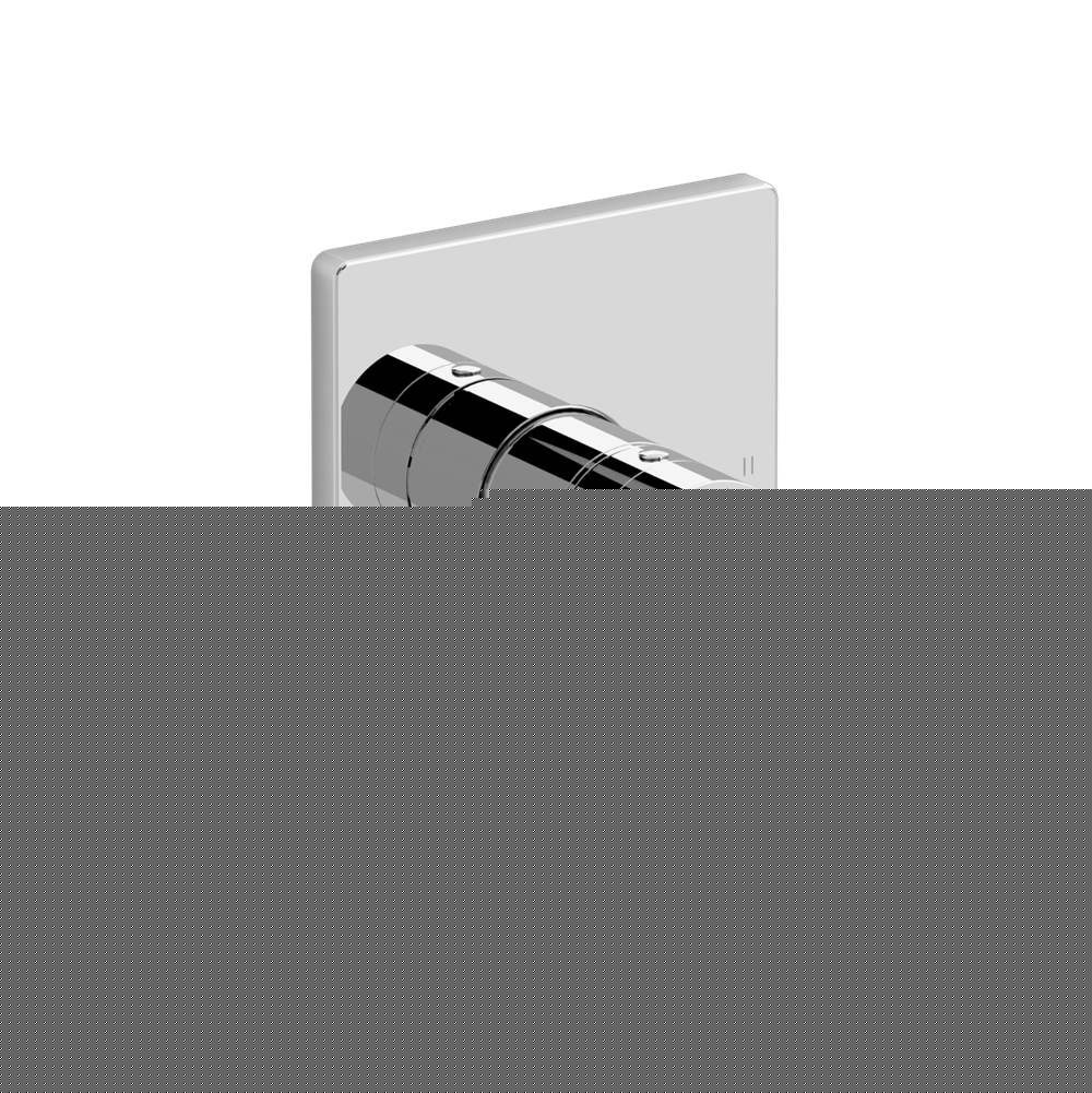 Paradox™ 1/2'' Therm & Pressure Balance Trim With 2 Functions-related