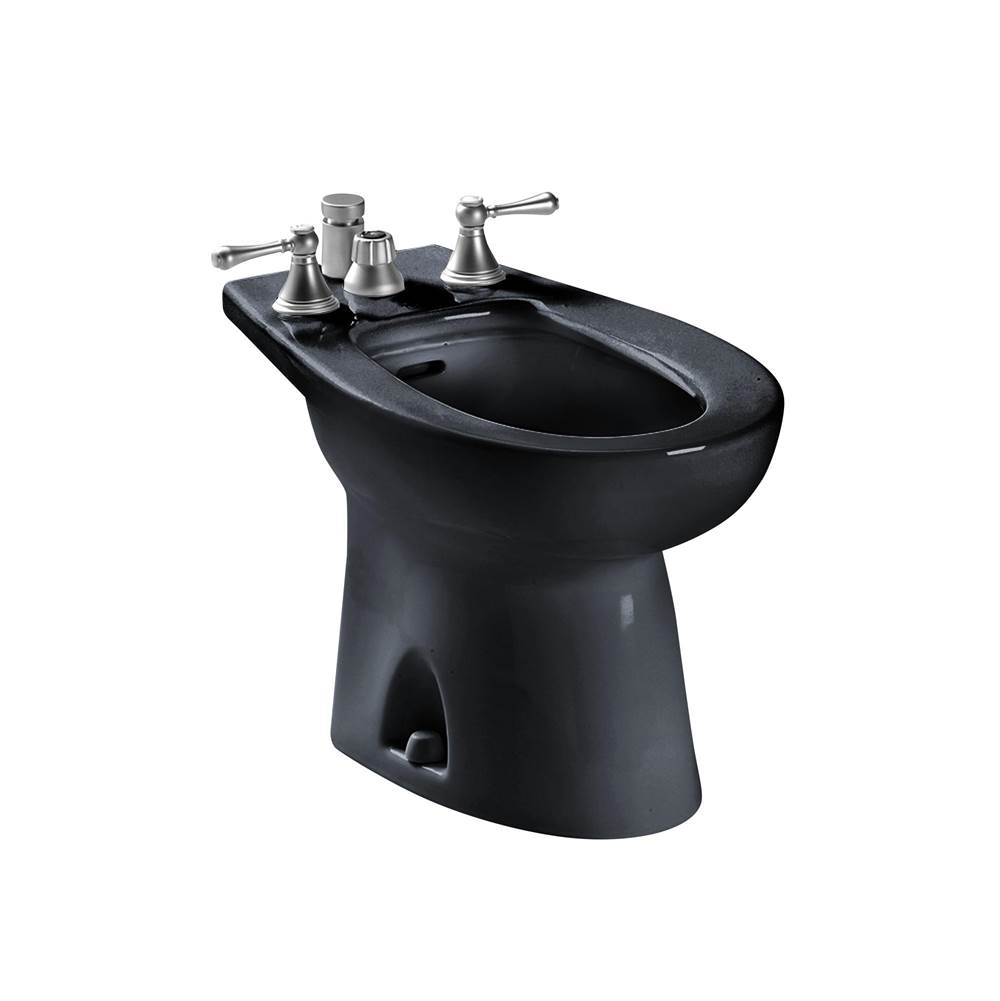 TOTO Piedmont Vertical Spray Bidet-related