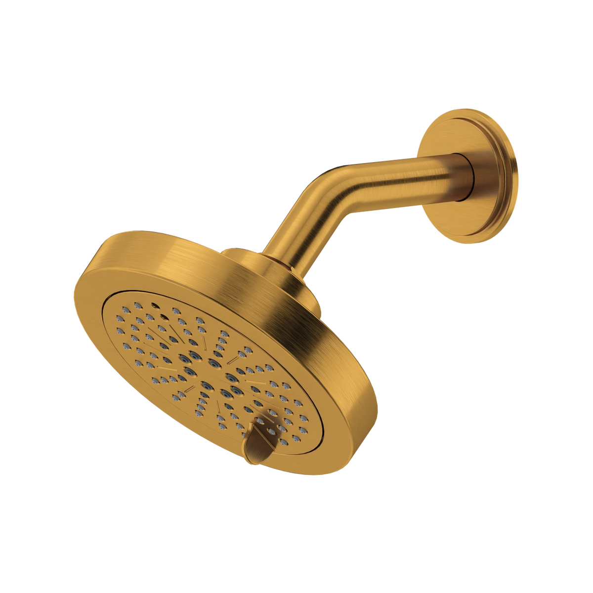 5'' 6-Function Showerhead With Arm-related
