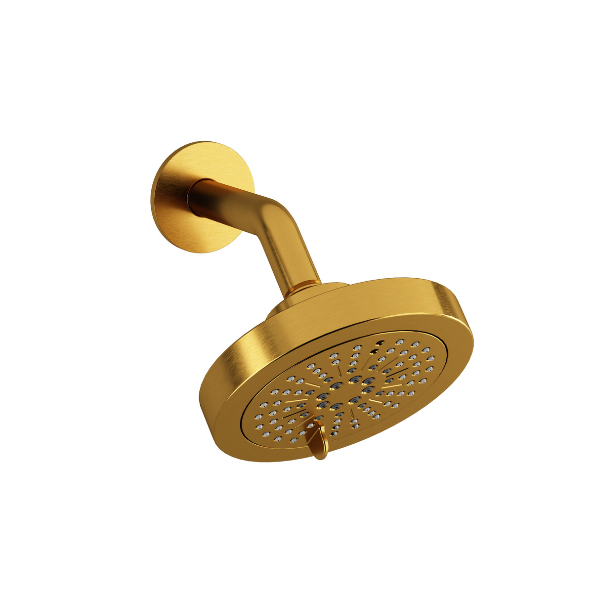 6'' 6-Function Showerhead With Arm-shop